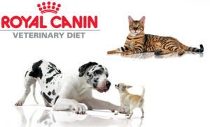 Royal Canin Veterinary Diet